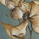 Lanie Loreth Paintings - Translucent Magnolias by Lanie Loreth